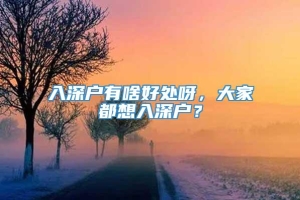 入深户有啥好处呀，大家都想入深户？