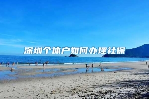 深圳个体户如何办理社保