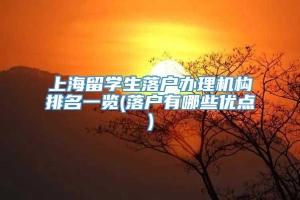 上海留学生落户办理机构排名一览(落户有哪些优点)