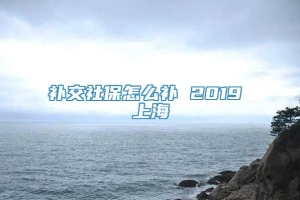 补交社保怎么补 2019 上海