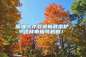 深圳人才引进新政出炉，这样申报可秒批！