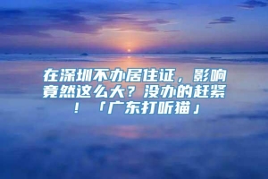 在深圳不办居住证，影响竟然这么大？没办的赶紧！「广东打听猫」