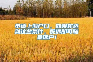 申请上海户口，如果你达到这些条件，配偶即可随员落户！