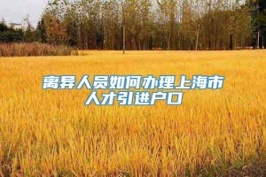 离异人员如何办理上海市人才引进户口