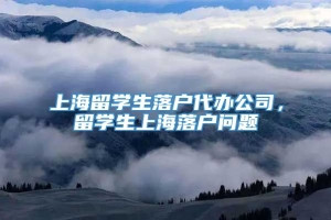 上海留学生落户代办公司，留学生上海落户问题