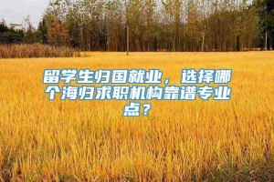 留学生归国就业，选择哪个海归求职机构靠谱专业点？