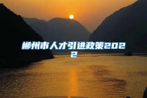 郴州市人才引进政策2022