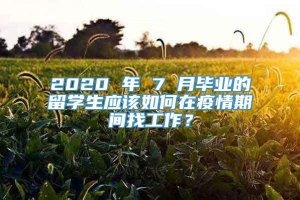 2020 年 7 月毕业的留学生应该如何在疫情期间找工作？