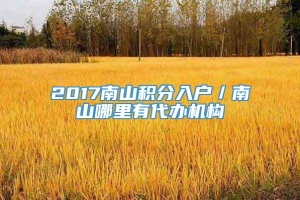 2017南山积分入户／南山哪里有代办机构