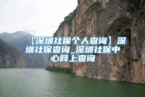 【深圳社保个人查询】深圳社保查询_深圳社保中心网上查询