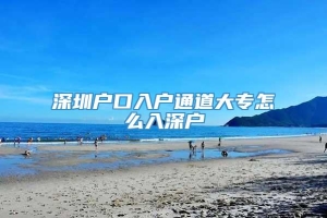 深圳户口入户通道大专怎么入深户