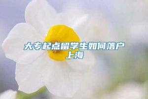 大专起点留学生如何落户上海