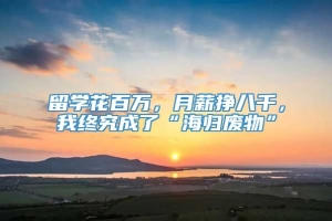 留学花百万，月薪挣八千，我终究成了“海归废物”