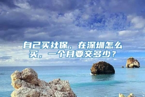 自己买社保，在深圳怎么买，一个月要交多少？