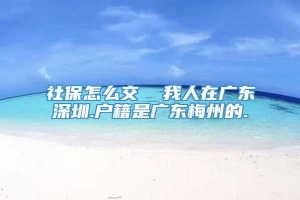 社保怎么交  我人在广东深圳.户籍是广东梅州的.