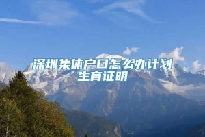 深圳集体户口怎么办计划生育证明