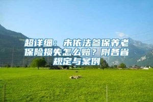 超详细：未依法参保养老保险损失怎么赔？附各省规定与案例