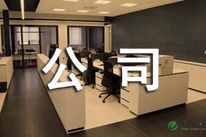 公司企业人才引进计划方案