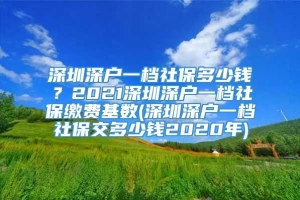 深圳深户一档社保多少钱？2021深圳深户一档社保缴费基数(深圳深户一档社保交多少钱2020年)