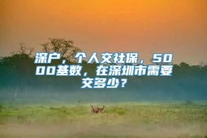 深户，个人交社保，5000基数，在深圳市需要交多少？