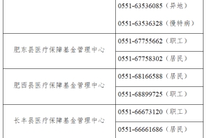 合肥医保公共服务事项说明！涉及门诊慢性病申请、生育保险等
