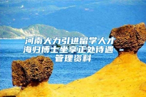 河南大力引进留学人才 海归博士坐享正处待遇 -管理资料