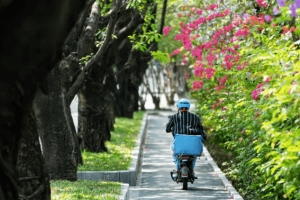 深圳居住证业务咨询电话