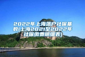 2022年上海落户社保基数(上海2021至2022年社保缴费明细表)