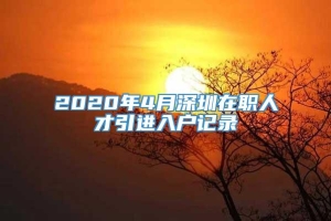 2020年4月深圳在职人才引进入户记录