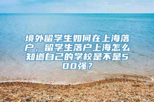 境外留学生如何在上海落户，留学生落户上海怎么知道自己的学校是不是500强？