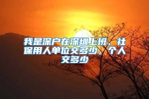 我是深户在深圳上班，社保用人单位交多少，个人交多少