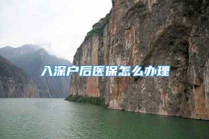 入深户后医保怎么办理