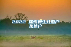 2022 深圳新生儿落户集体户