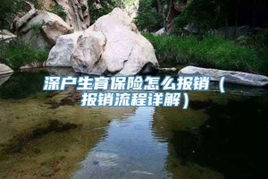 深户生育保险怎么报销（报销流程详解）