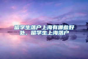 留学生落户上海有哪些好处，留学生上海落户