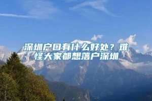 深圳户口有什么好处？难怪大家都想落户深圳