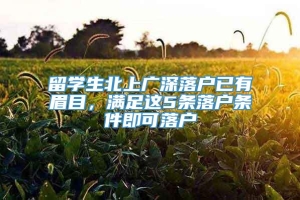 留学生北上广深落户已有眉目，满足这5条落户条件即可落户