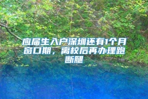 应届生入户深圳还有1个月窗口期，离校后再办理跑断腿