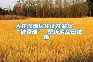 人在深圳居住证在武汉“被受理” 系统紊乱已注销