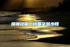 深圳社保一档要交多少钱