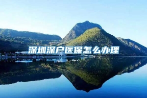 深圳深户医保怎么办理