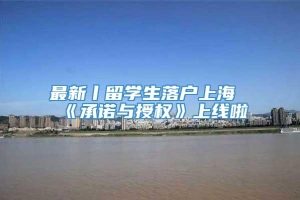 最新丨留学生落户上海《承诺与授权》上线啦