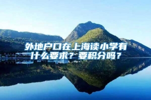 外地户口在上海读小学有什么要求？要积分吗？