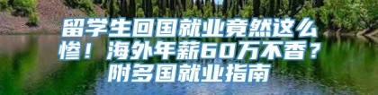 留学生回国就业竟然这么惨！海外年薪60万不香？附多国就业指南