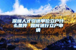 深圳人才引进单位立户什么条件 如何进行立户申请