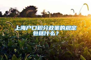 上海户口积分政策的规定包括什么？