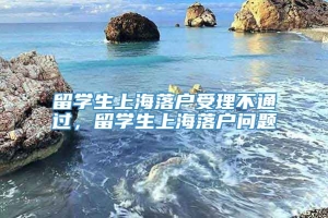 留学生上海落户受理不通过，留学生上海落户问题