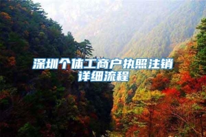 深圳个体工商户执照注销详细流程