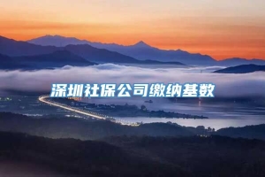 深圳社保公司缴纳基数