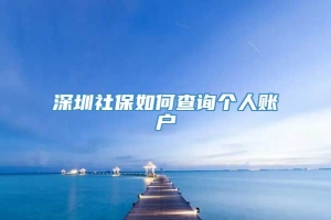 深圳社保如何查询个人账户